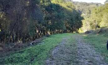 Imagem 5: CAXIAS DO SUL - Terreno Padrão - MONTE BÉRICO