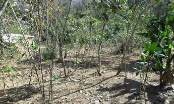 Imagem 6: Venda Lote-Área-Terreno Vista Alegre Mateus Leme