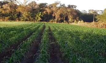 Imagem: Chácara 10.63há em Santo Antônio do Leverger