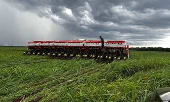Imagem 5: Fazenda arrenda outra vende 15.900hec planta 1.800hec hoje