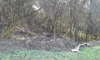 Imagem 4: CAXIAS DO SUL - Terreno Padrão - MONTE BÉRICO