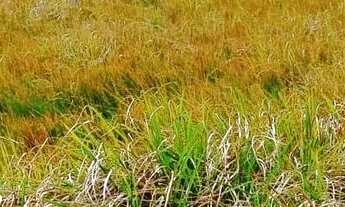 Imagem: Terreno em Búzios