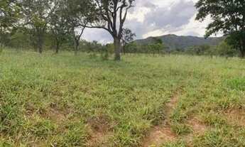 Imagem 5: Fazenda em Paracatu MG de 213 hectares com 70 hectares de área plana ideal para criação de