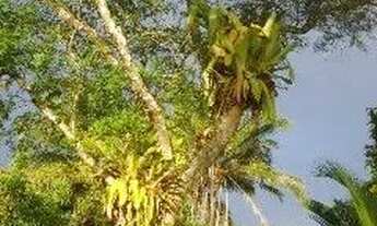 Imagem 4: JAGUARIPE - RURAL - ZONA RURAL