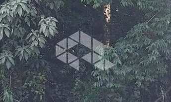 Imagem 7: Terreno com 517,04 m2 em área nobre na serra gaúcha por R$ 540.600,00