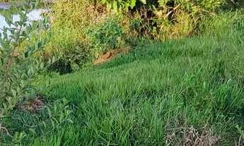 Imagem 6: Fazenda em Pontalina