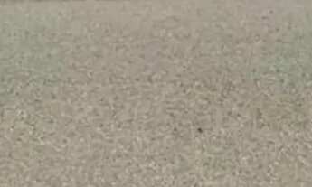 Imagem: Casa com ponto comercial na frente no jardim