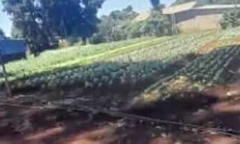 Imagem 6: Chácara à venda, 3269 m² por R$ 200.000,00 - Zona Rural - Rio Verde/GO