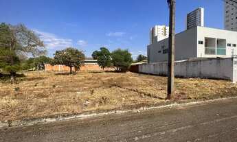 Imagem 4: Lote da 205 sul bem localizado