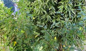 Imagem 4: Aluga-se excelente localização