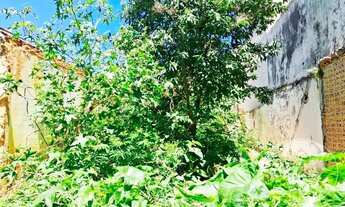 Imagem 3: Terreno na Vila Formosa à Venda - 100m² - Cód 3689