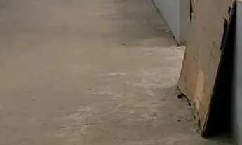 Imagem 4: ALUGO GALPÃO VILA DA PENHA