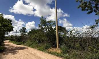 Imagem 3: Terreno 1.000 m2 São Jose de Almeida