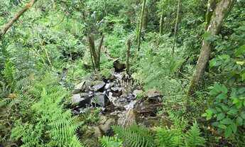 Imagem 3: Chácara à venda, 9970 m² por R$ 1.540.000,00 - Colonia Santa Gabriela - Almirante Tamandar