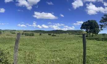Imagem 3: Fazenda de 52,00 Alqueires em Araruama