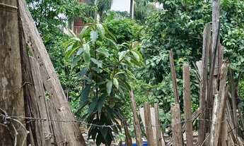 Imagem 7: Terreno - vendo Terreno / lote com venda por R$5.000.000