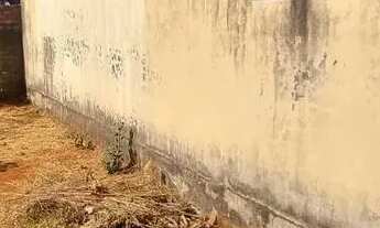 Imagem 6: Lote Murado e Plano à Venda Jardim das Rosas