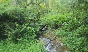 Imagem 6: Chácara à venda, 9970 m² por R$ 1.540.000,00 - Colonia Santa Gabriela - Almirante Tamandar