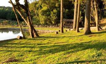 Imagem 6: São José dos Pinhais, Chácara , 4 dormitórios, 2 suítes, contendo 26.320m², Roça Velha, à