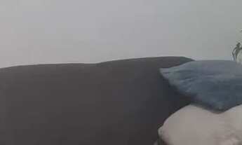 Imagem 7: Apartamento a vendal na cnb11