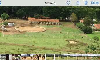 Imagem: Haras para venda possui 3 alqueires Prox