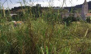 Imagem 6: Terreno à venda, 887 m² por R$ 1.100.000,00 - Reserva das Videiras - Louveira/SP