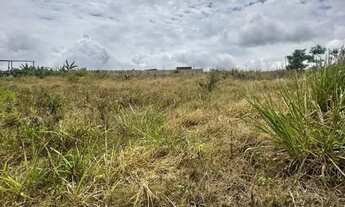 Imagem 3: Terreno chachara