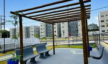 Imagem 2: ANA20: CHAVE ARVORES 01