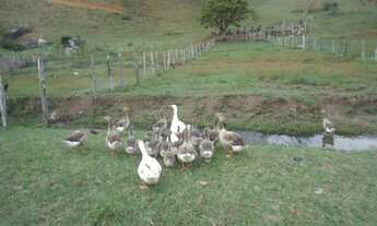 Imagem 2: Fazenda muito boa