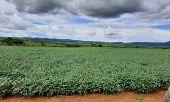 Imagem 2: 648 Alqueires em Doverlandia Go