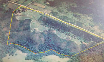 Imagem: Área de terra para produção de Oliveiras