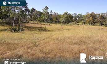 Imagem: Fazenda com dupla aptidão em Almas - TO