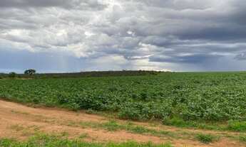 Imagem 5: Fazenda no Município de mambaí, GO<br>com área total de 950 alqueires ou 4.600 hecta
