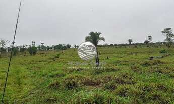 Imagem 2: Venda - Sítio - Theobroma - Theobroma