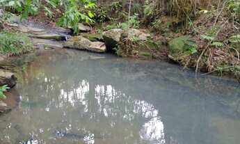 Imagem 3: Chácara em mairipotaba a 80 km de Goiânia com corrego energia chacaras 20.000 metros
