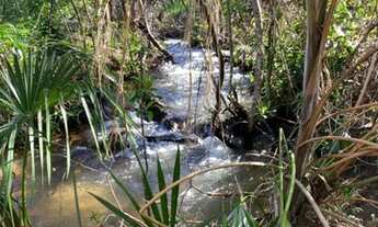 Imagem 6: Fazenda no Município de mambaí, GO<br>com área total de 950 alqueires ou 4.600 hecta