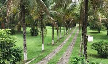 Imagem: Sítio para Venda em Saquarema, Tinguí