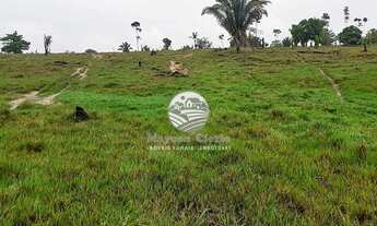 Imagem 6: Venda - Sítio - Theobroma - Theobroma