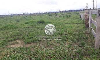 Imagem 4: Venda - Fazenda - Candeias do Jamari - 115 Alqueires Barata