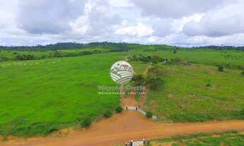 Imagem 3: Venda - Fazenda - Machadinho D'Oeste - 214 Alqueires top tim