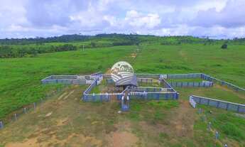 Imagem 5: Venda - Fazenda - Machadinho D'Oeste - 214 Alqueires top tim