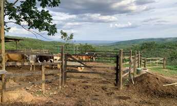 Imagem: Vendo propriedade rural