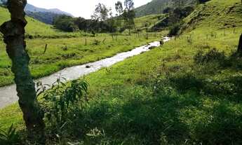 Imagem 6: Maravilhosa Chácara com 2,6 hectares na serra da Mantiqueira em Delfim Moreira/MG