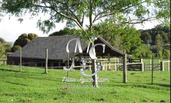 Imagem 7: SITIO 8 ALQUEIRES OU 19 HECTARES A 10 KM DE JAU-SP