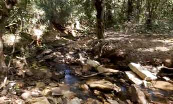 Imagem 6: Chácara DF 190 pertinho asfalto 5000m2