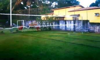 Imagem 3: SITIO EM ABRANTES - 4200 METROS DE ÁREA - ABRANTES