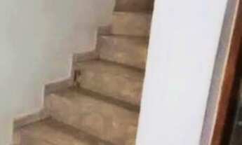 Imagem 7: São Paulo - Casa Padrão - JABAQUARA