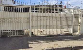 Imagem 2: Meio lote na Quadra 17 do Paranoá-DF