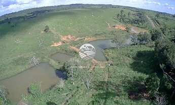 Imagem 5: Venda - Sítio - Vale do Anari - 25 Alqueires escriturada