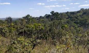 Imagem 7: Chácara DF 190 pertinho asfalto 5000m2